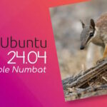 Ubuntu 24.04