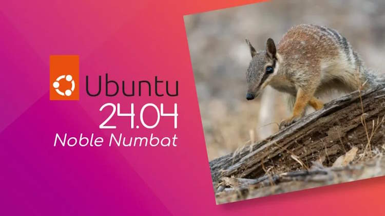 Ubuntu 24.04